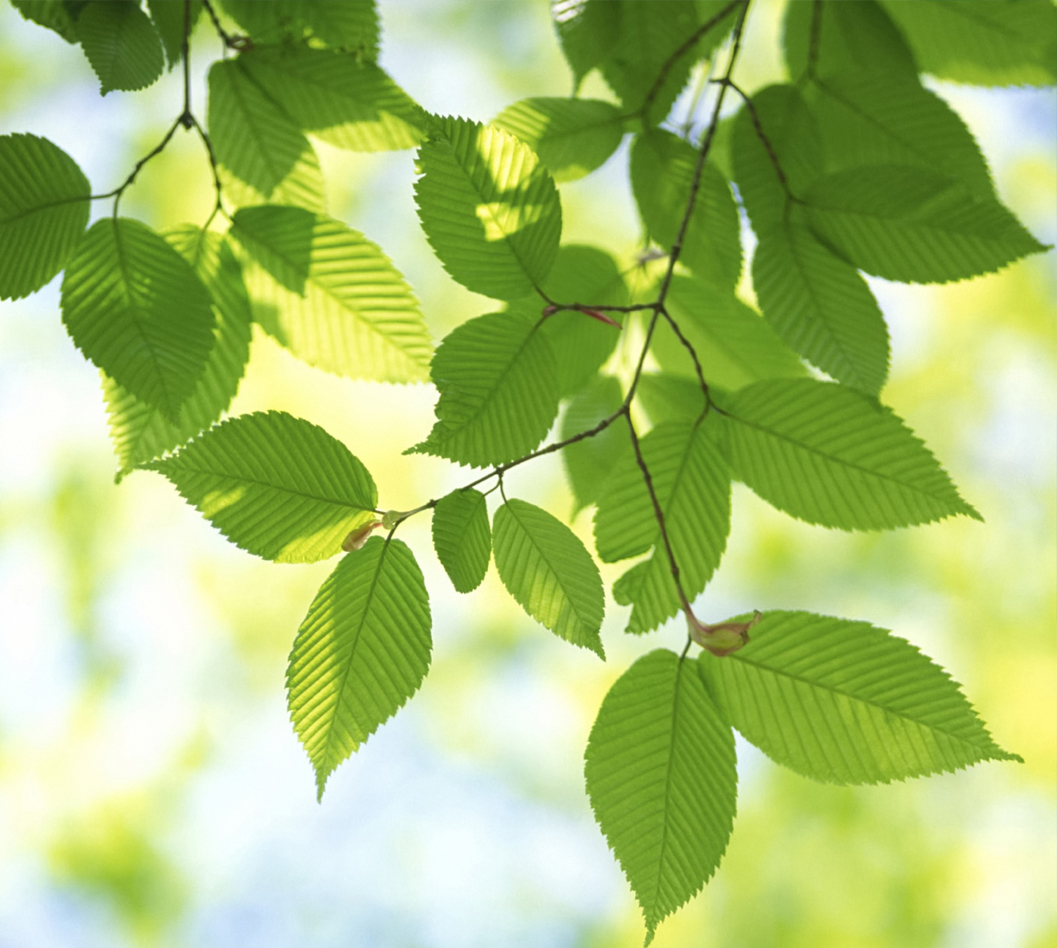 醫院軟膜天花吊頂素材