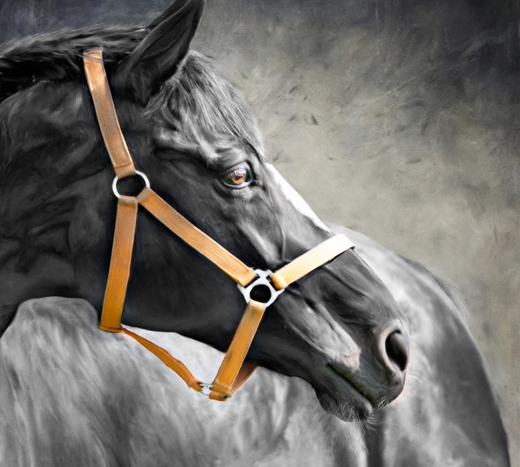 藝術館軟膜天花噴繪工程